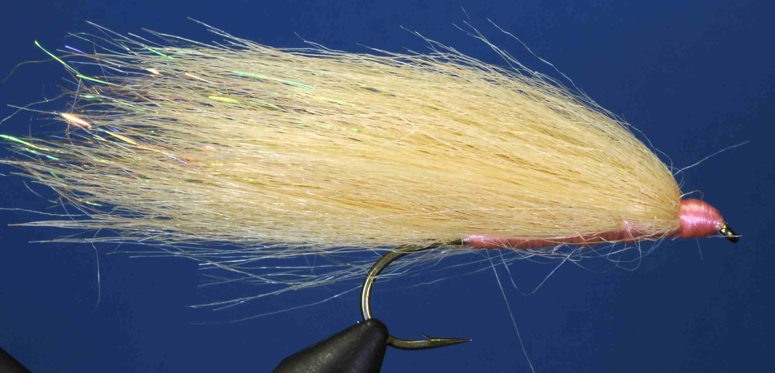 J21-19FSNF product image