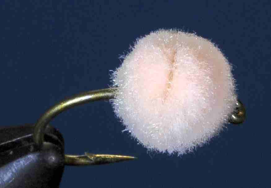 J21-19GBEG product image