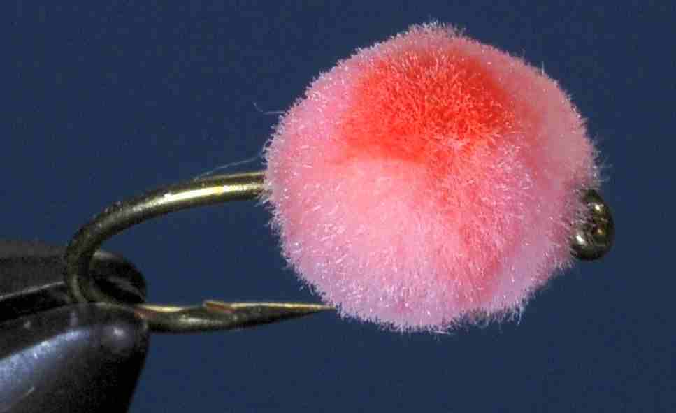 J21-19GBSE product image