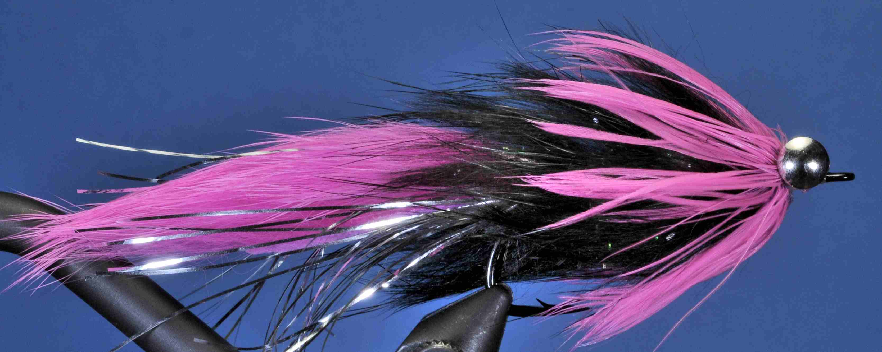 J21-19HBPP product image