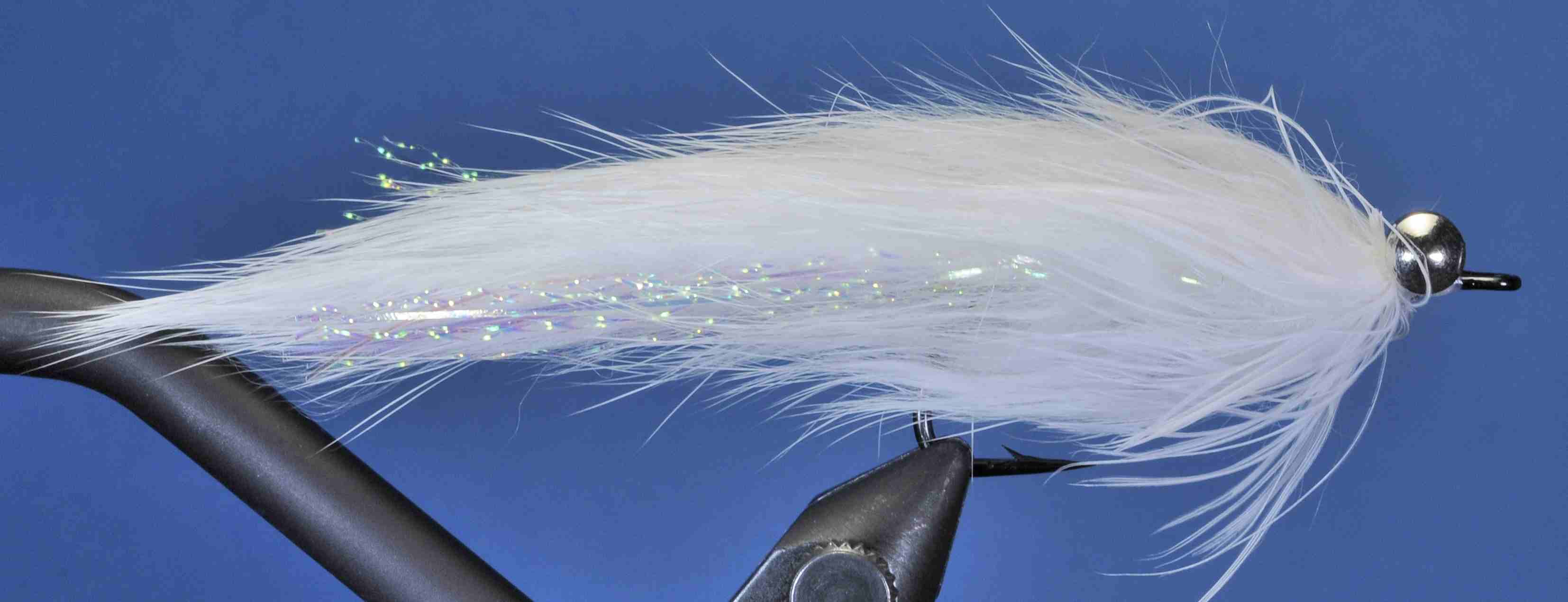 J21-19HBWH product image