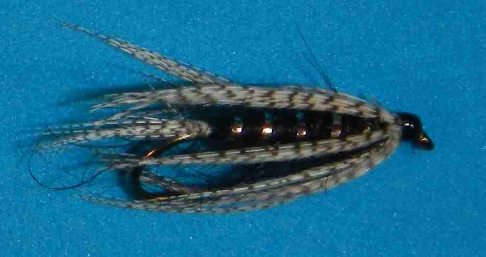 J21-19KNBK product image