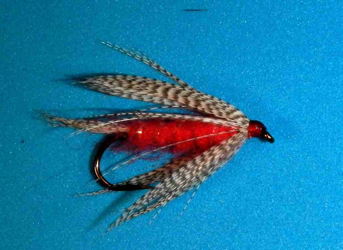 J21-19KNRD product image