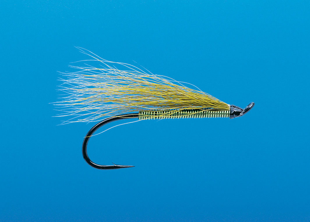 J21-19MBOL product image