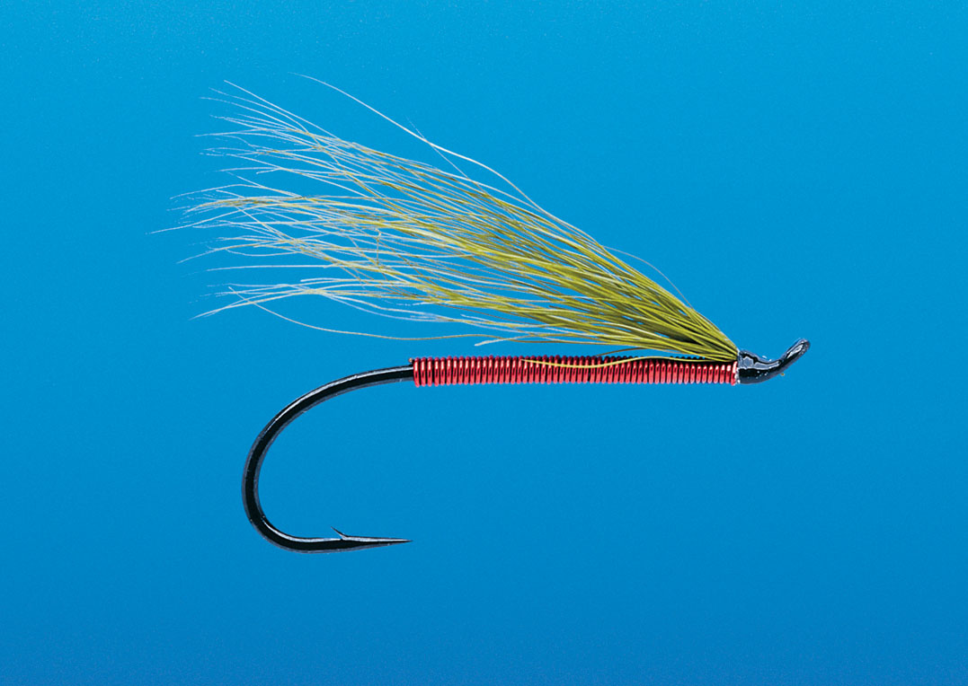 J21-19MBRD product image