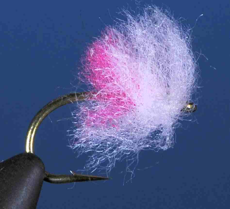 J21-19NKMP product image