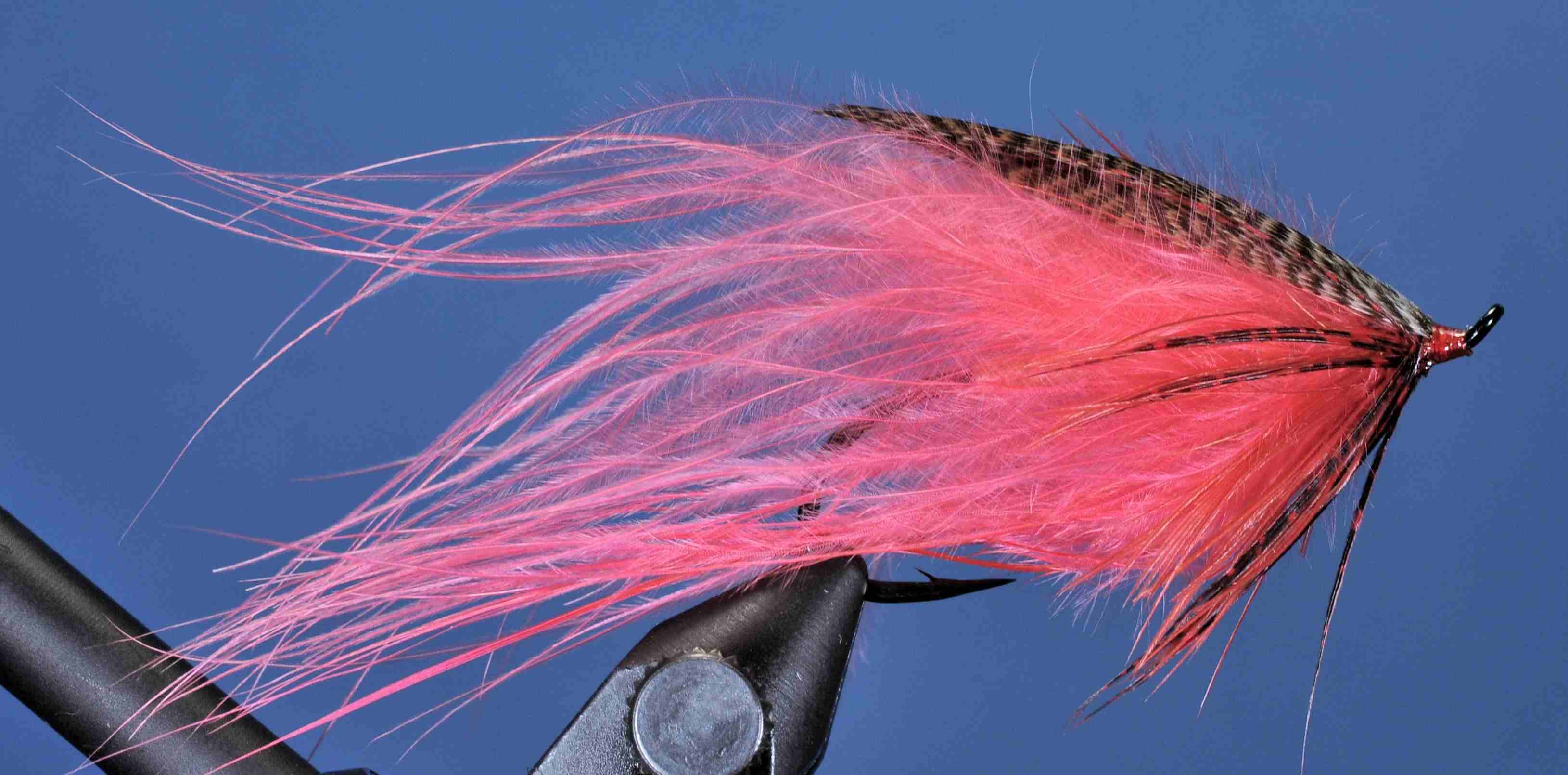 J21-19RNCY product image