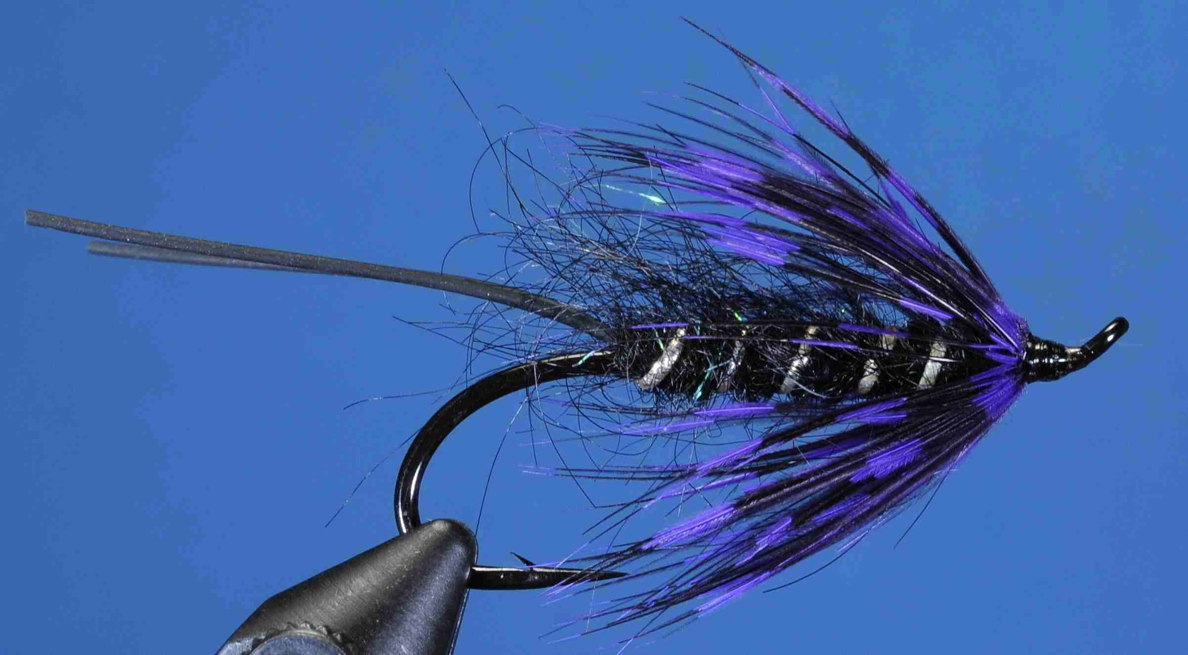 J21-19RTSP product image