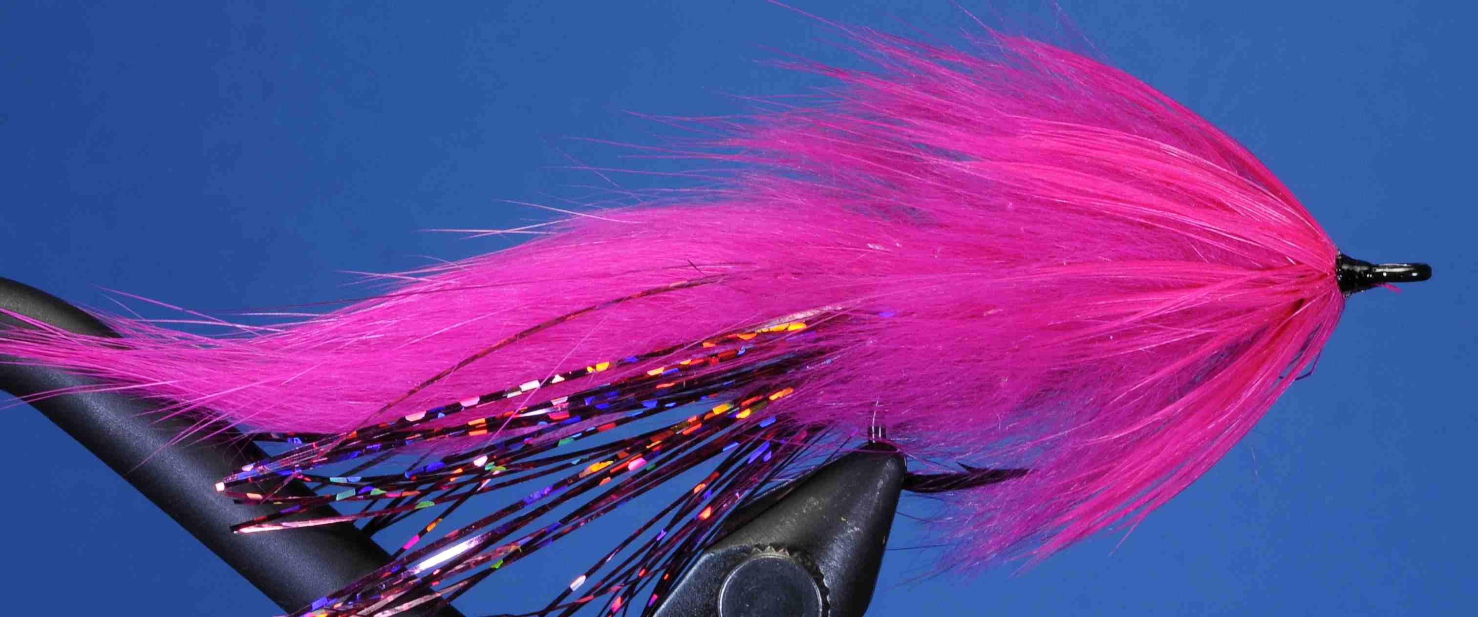 J21-19SLFS product image