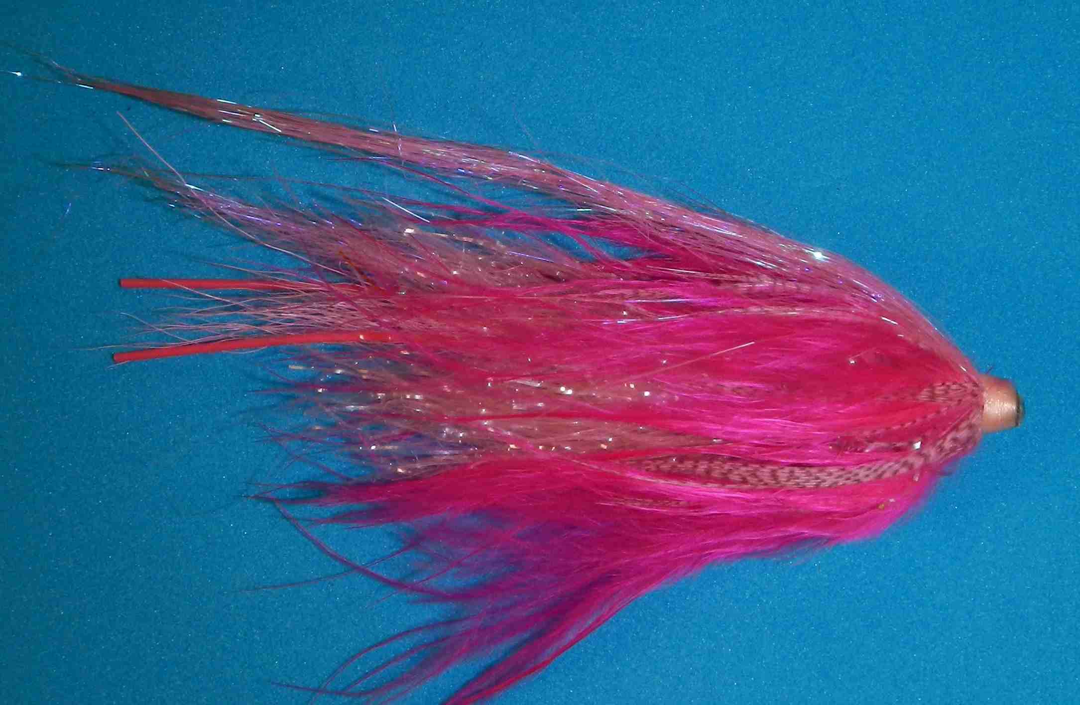 J21-20LCFS product image