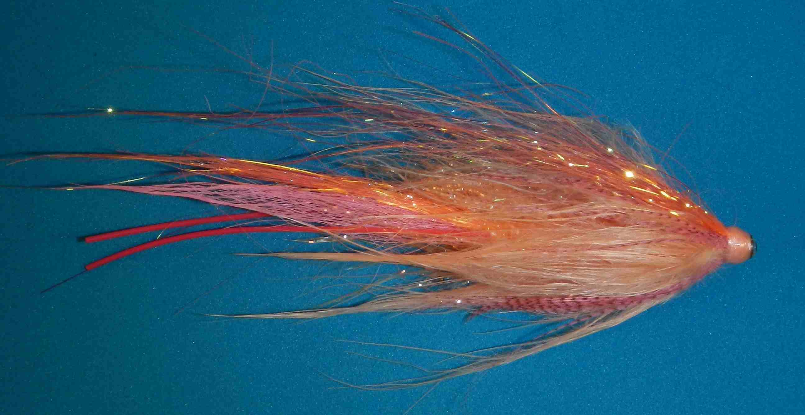 J21-20LCPP product image