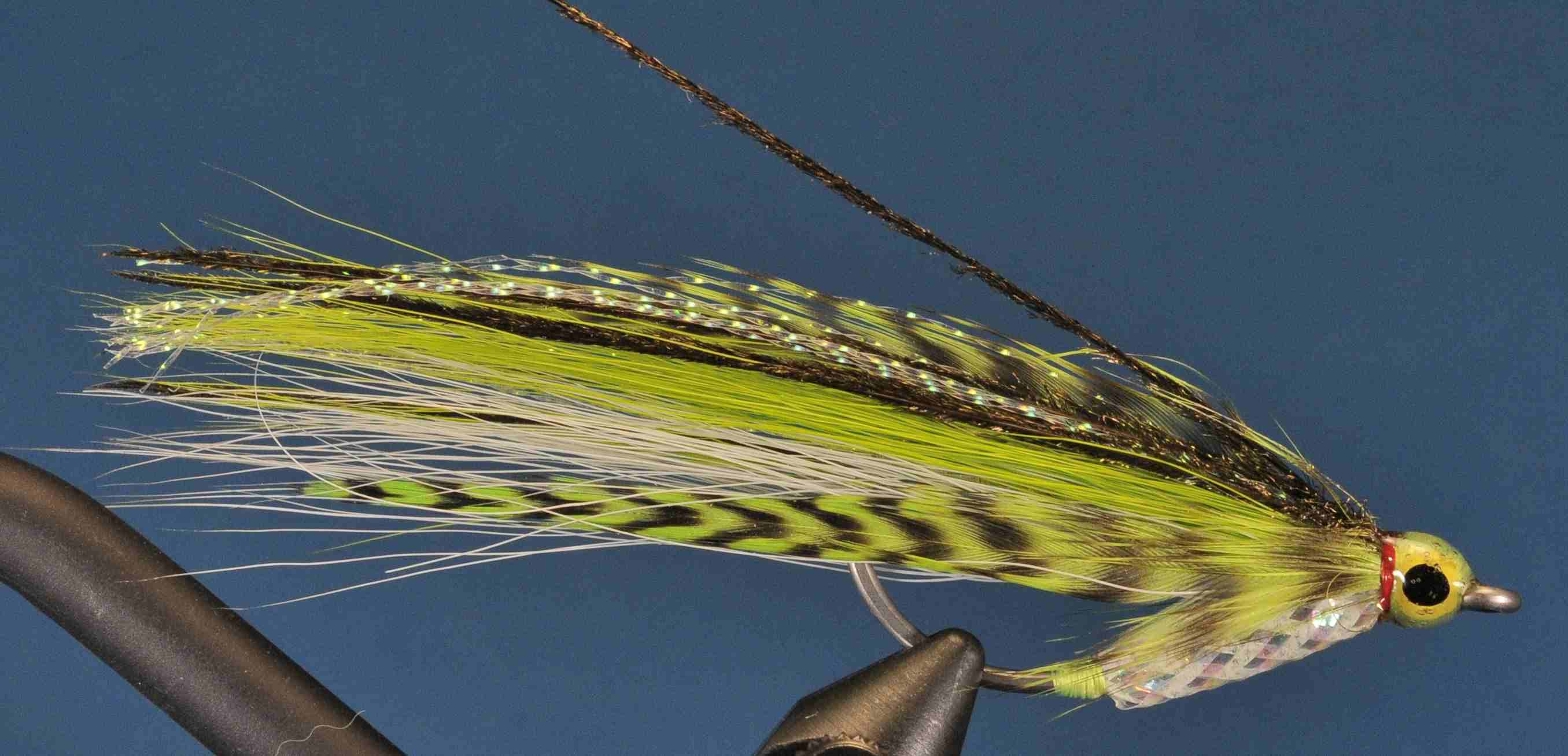 J21-502555 product image