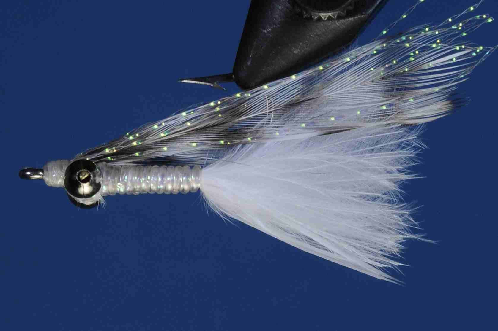 J21-503009 product image