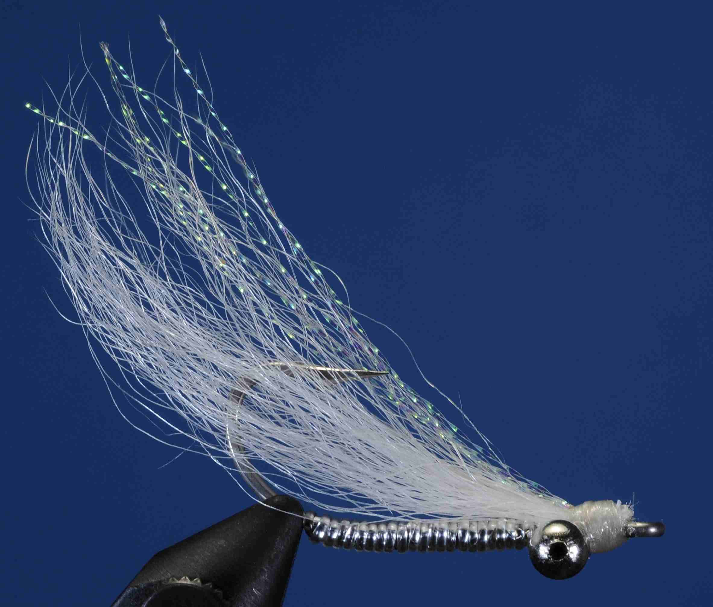 J21-509010 product image