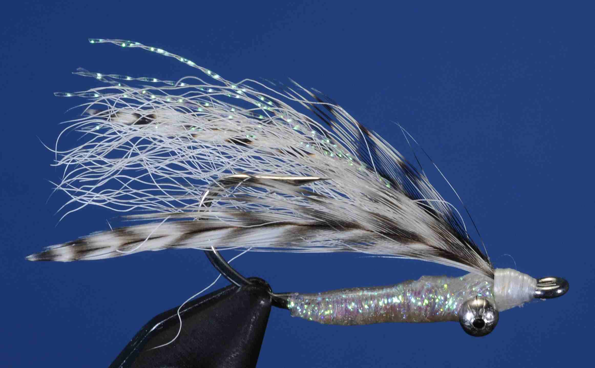 J21-509110 product image