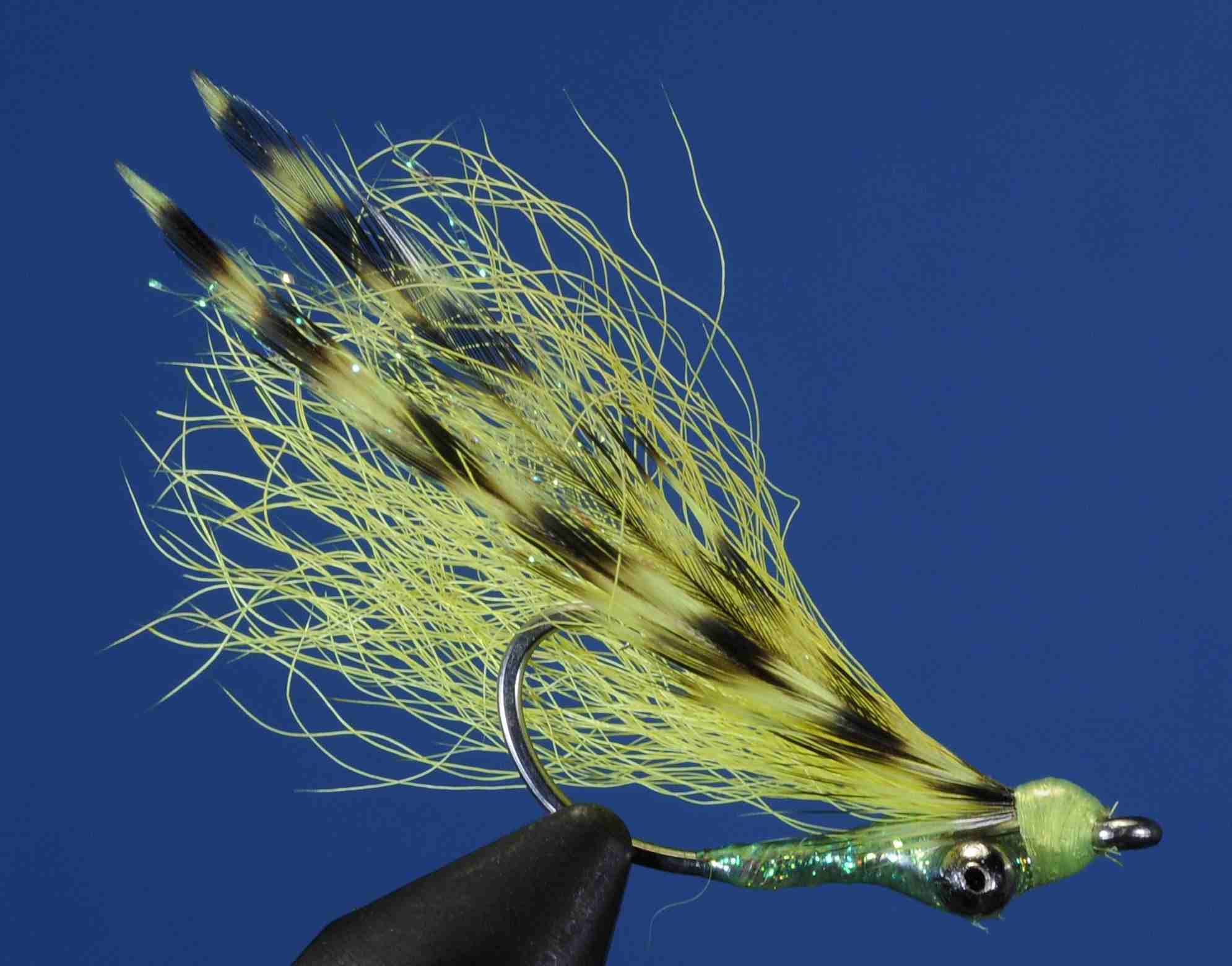 J21-509155 product image