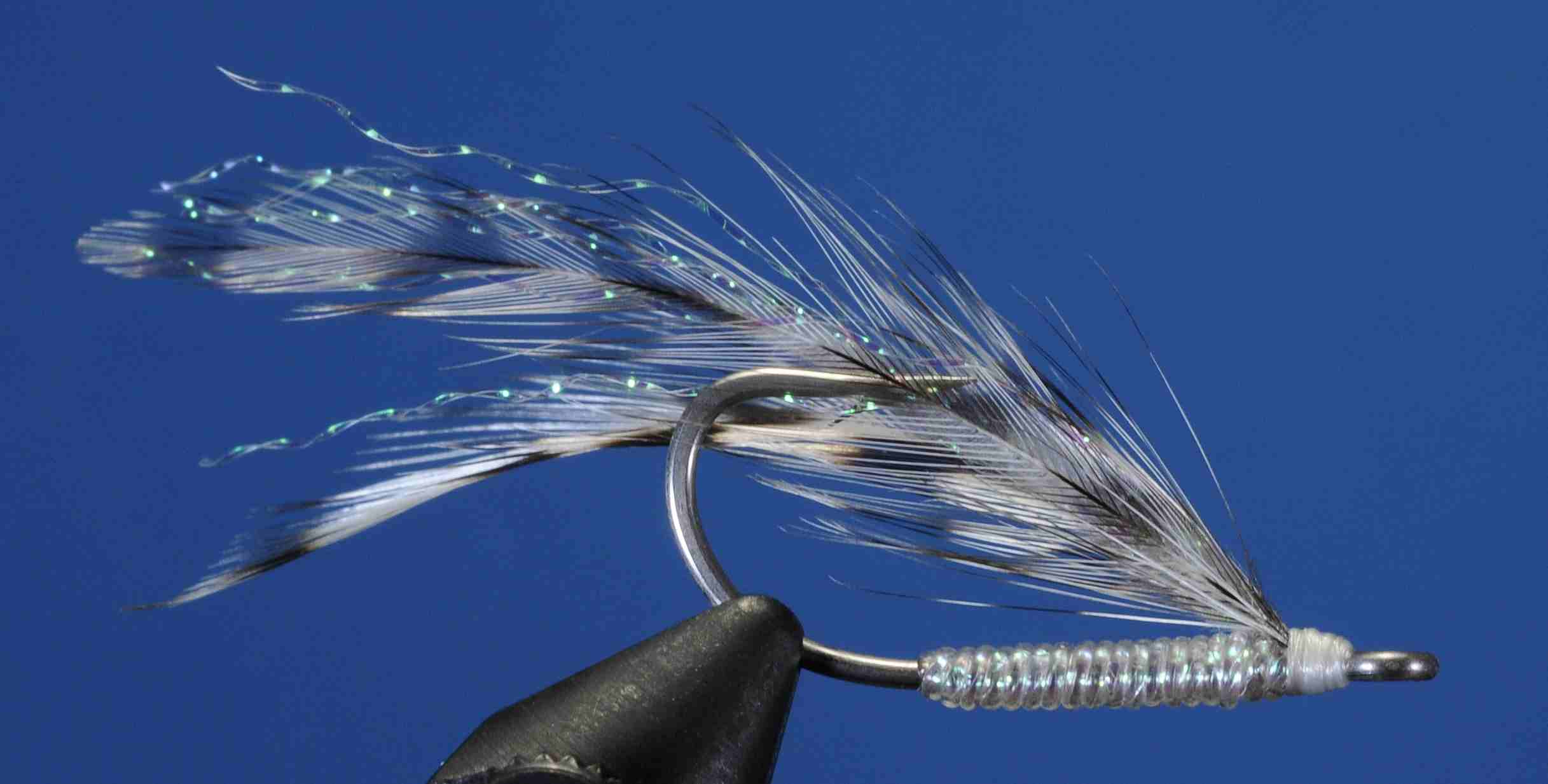 J21-509509 product image