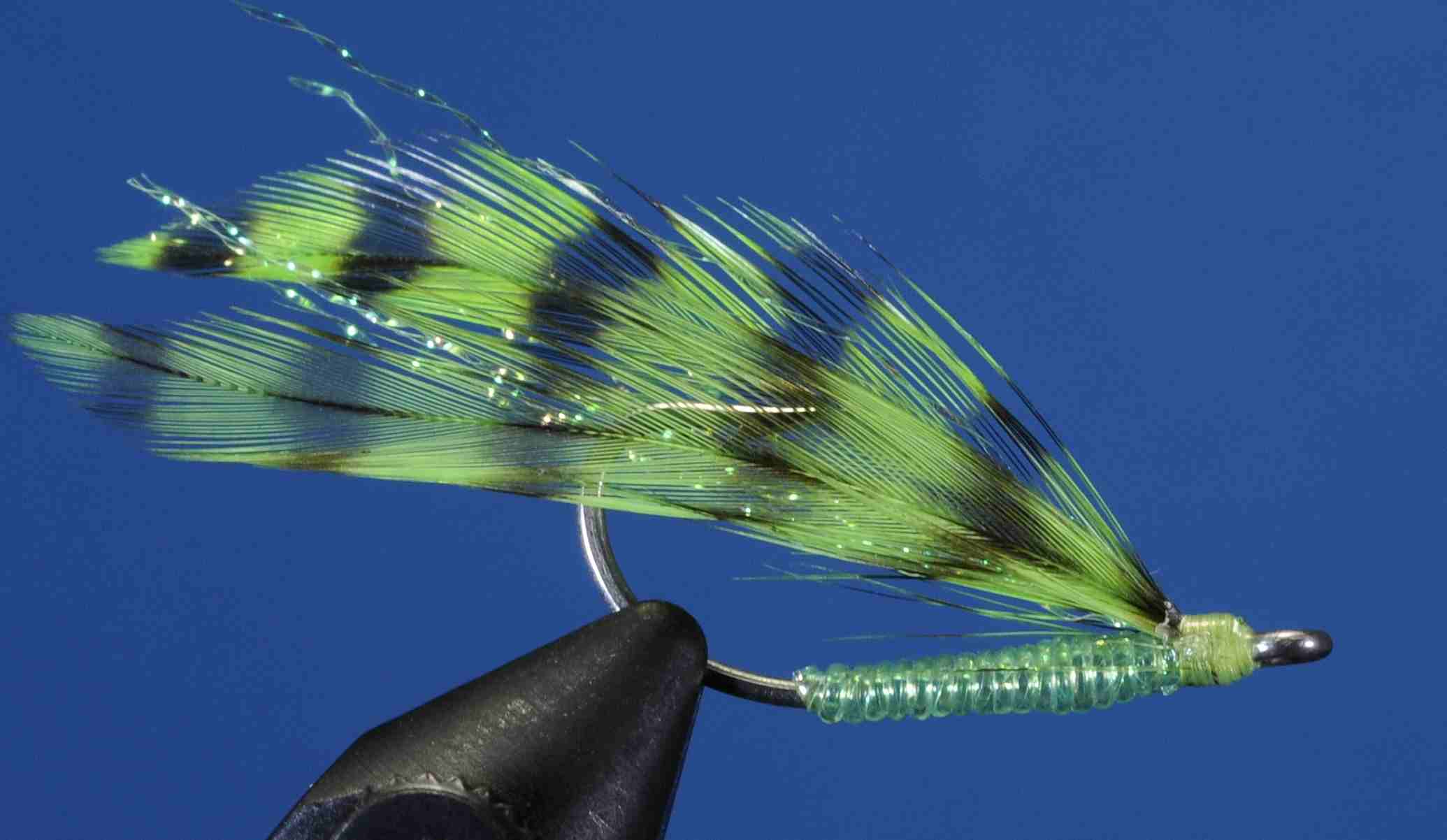 J21-509555 product image