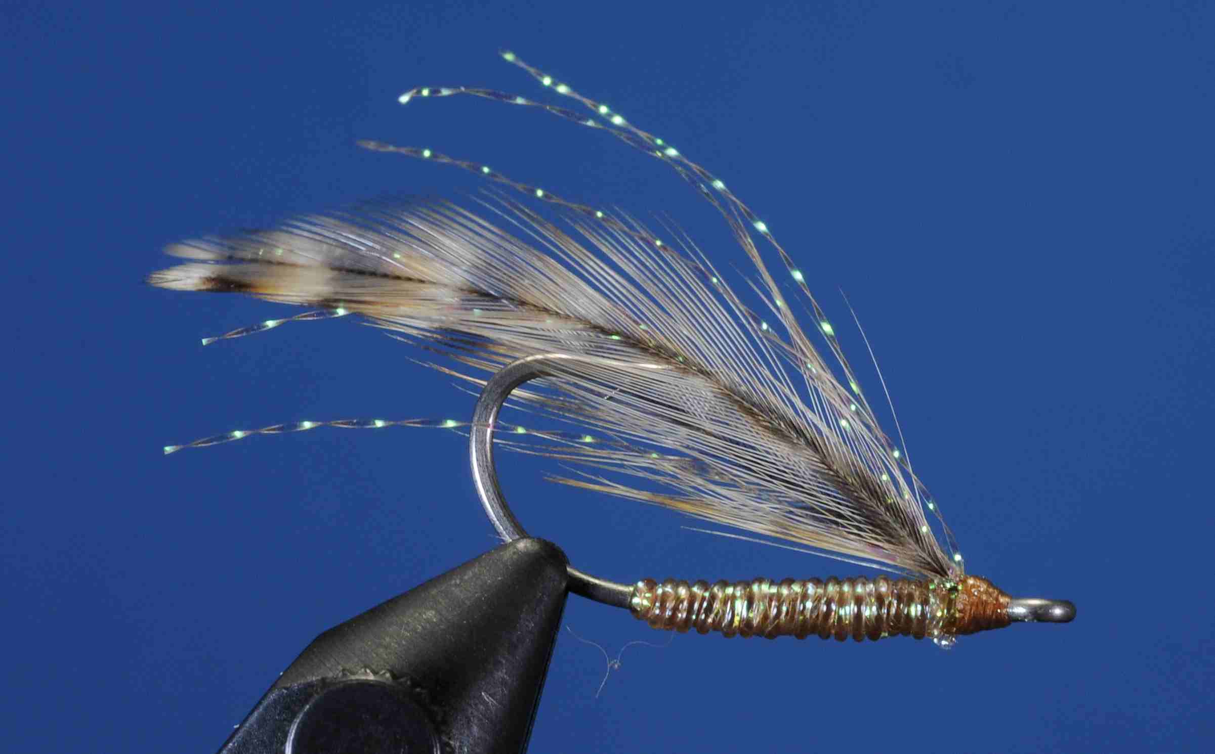 J21-509571 product image