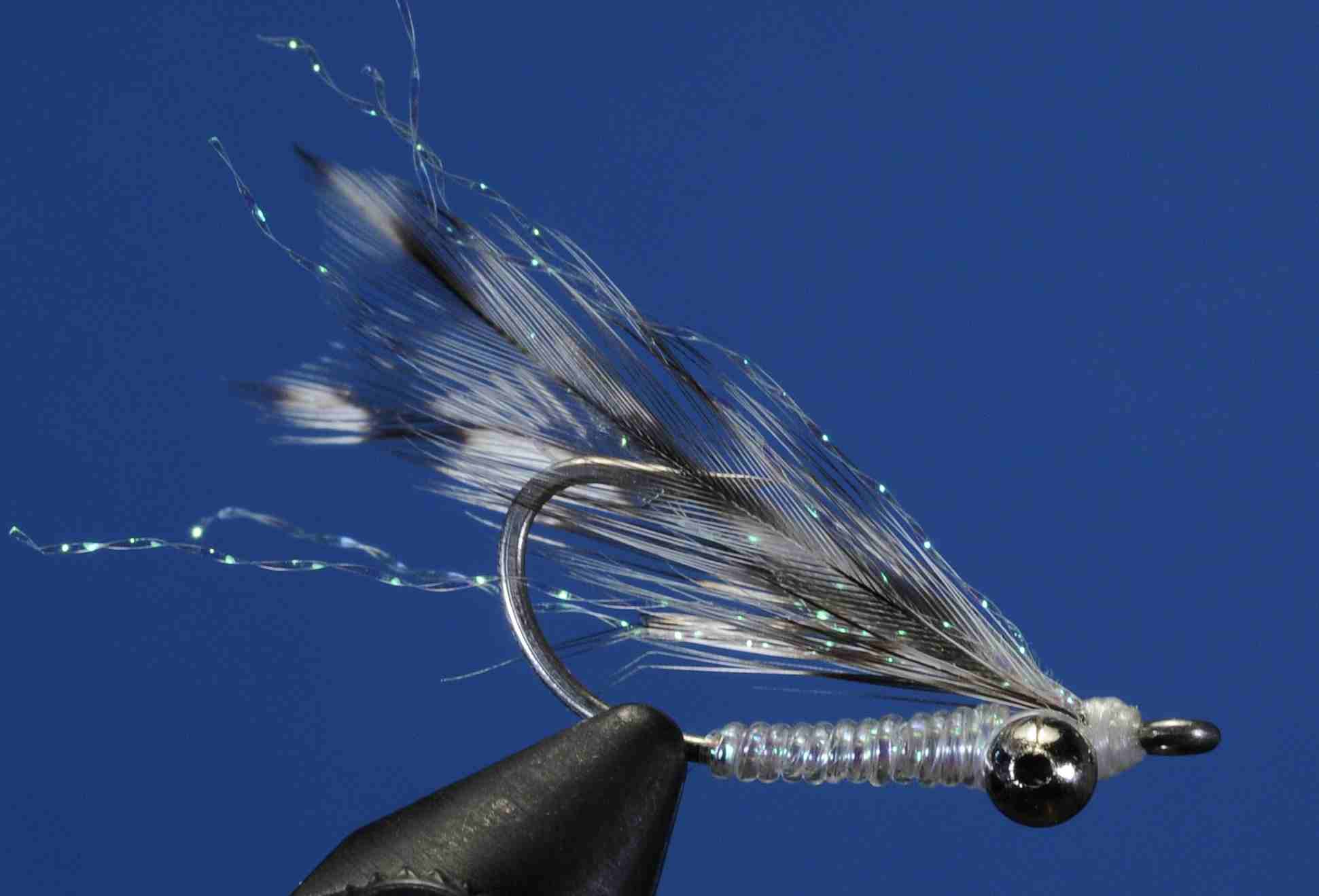 J21-509609 product image