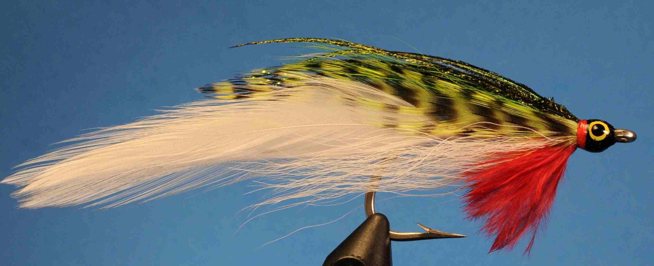 J21-512513 product image