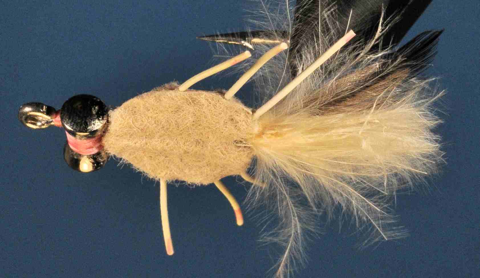 J21-558072 product image