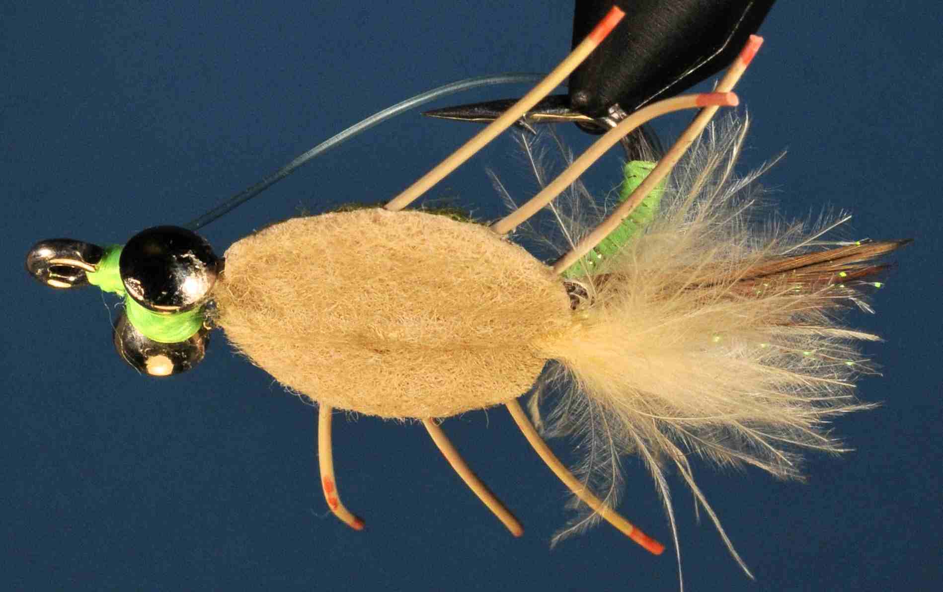 J21-558261 product image