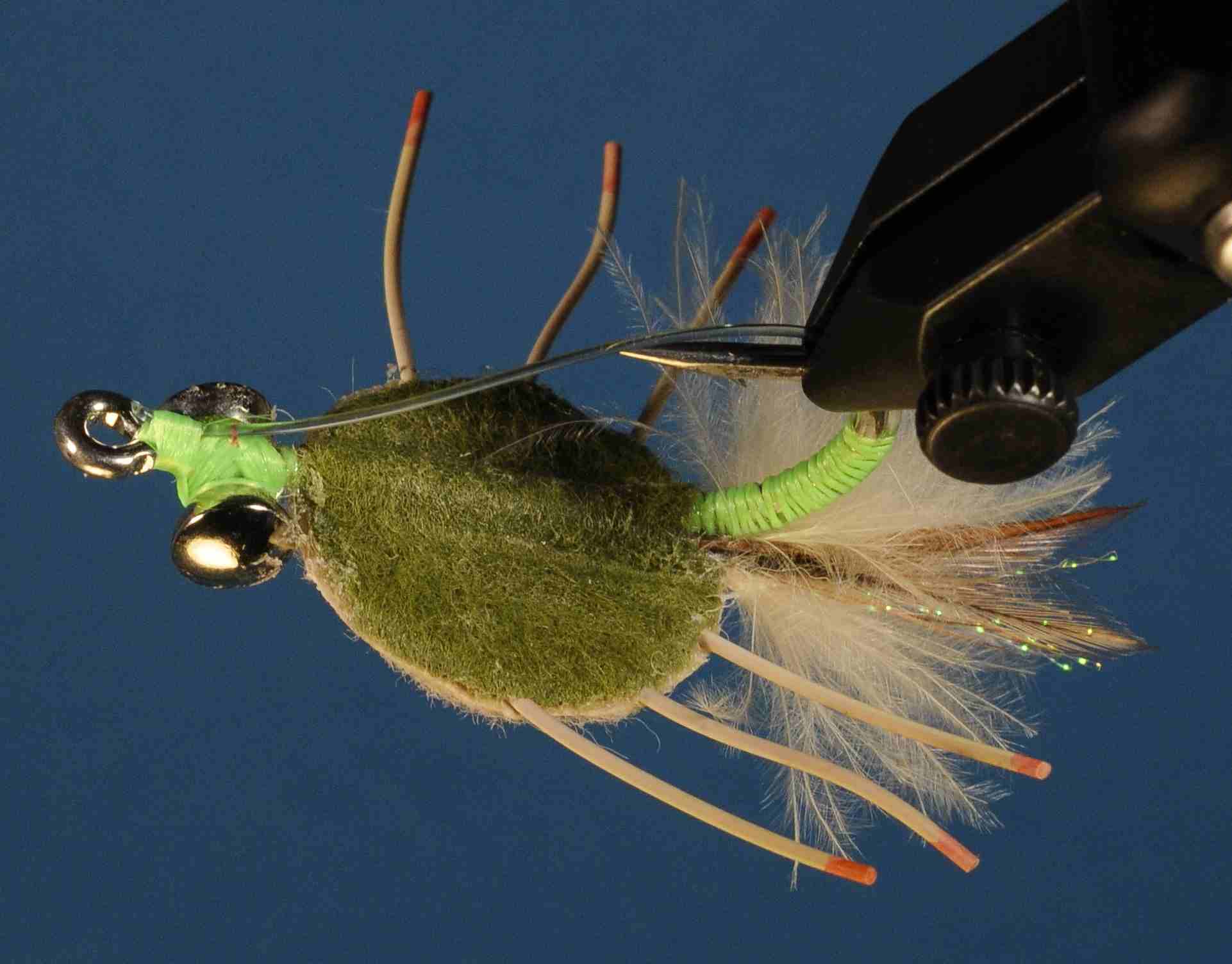 J21-558261 product image