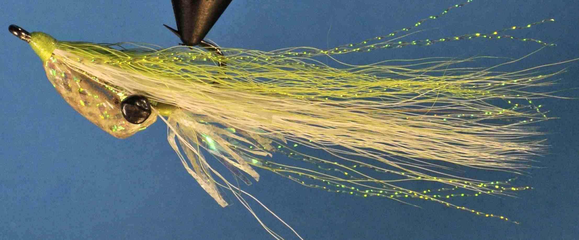 J21-558509 product image