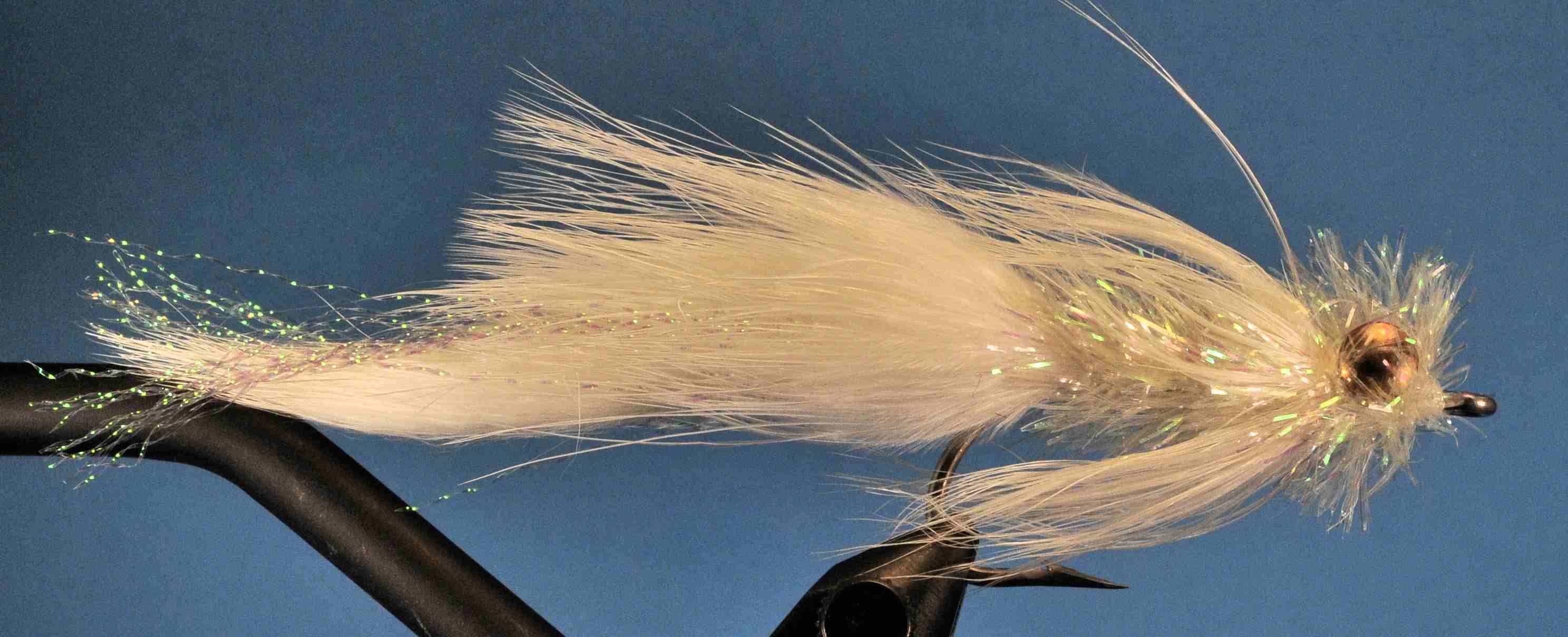 J21-563010 product image