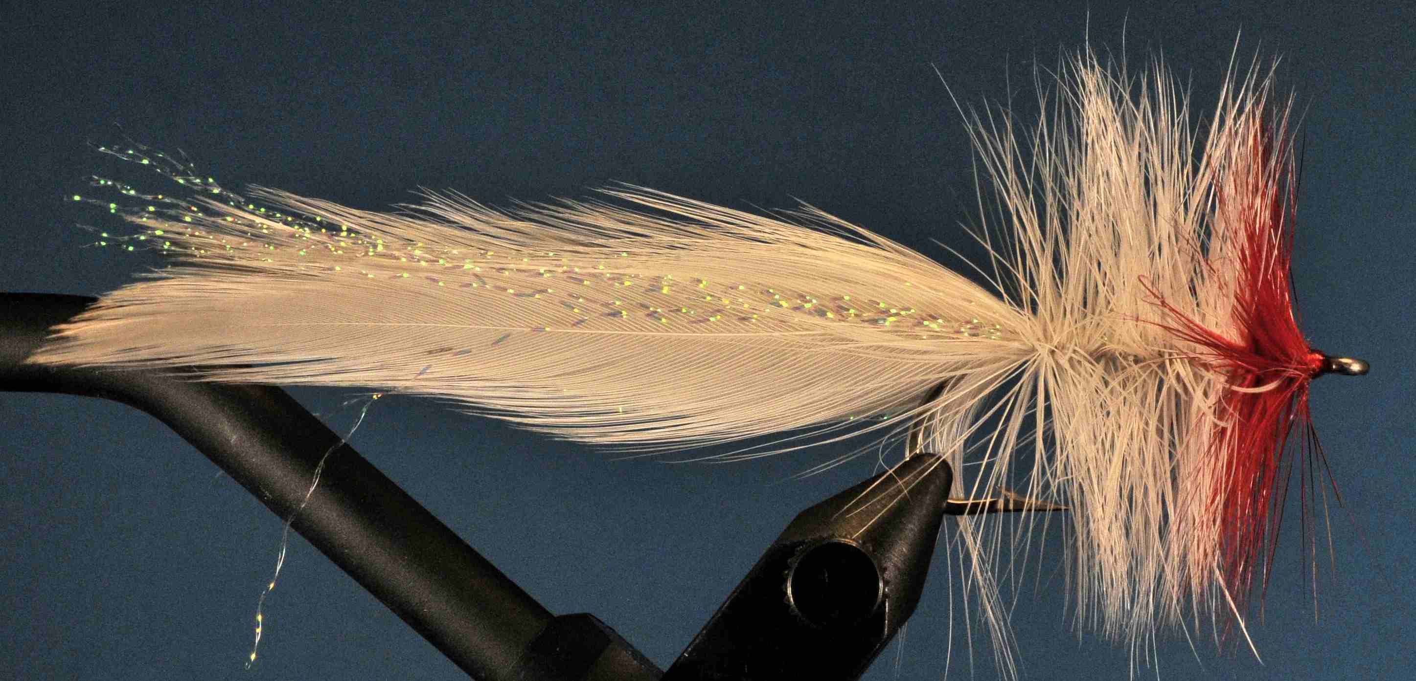 J21-563538 product image