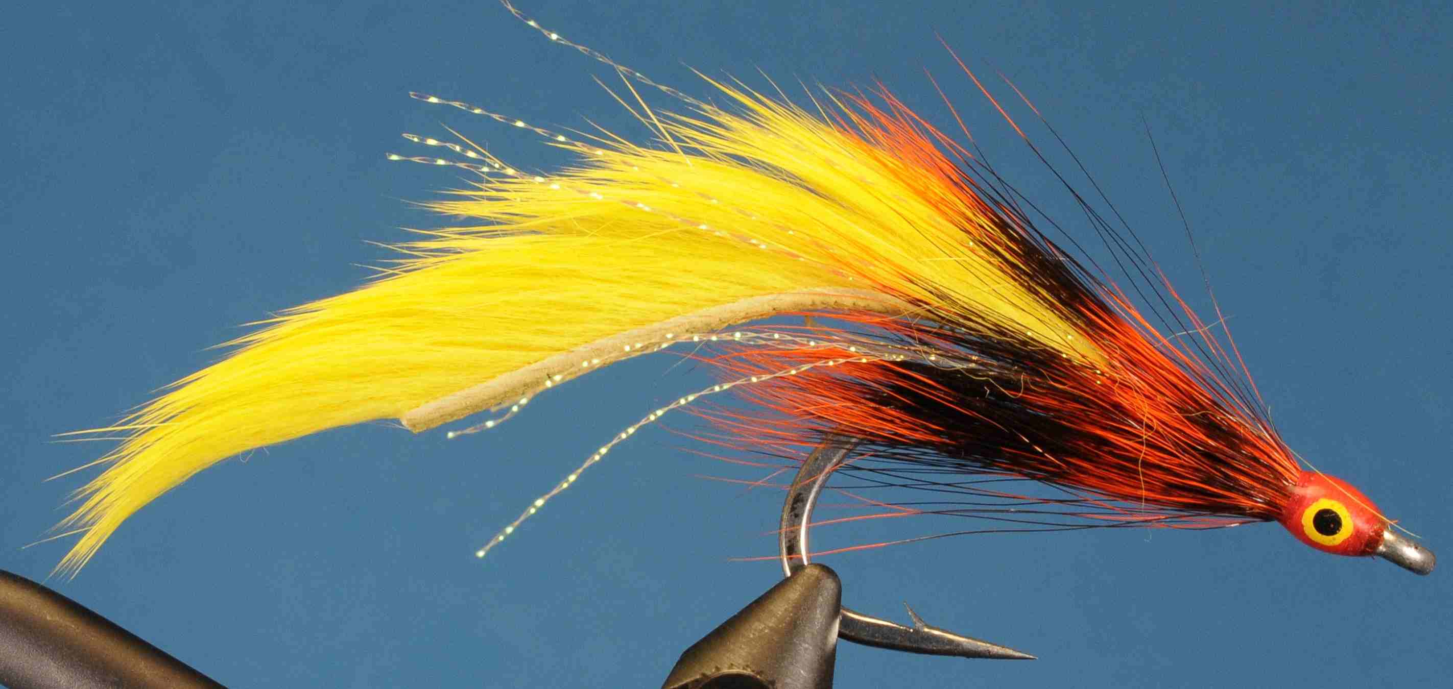 J21-568530 product image