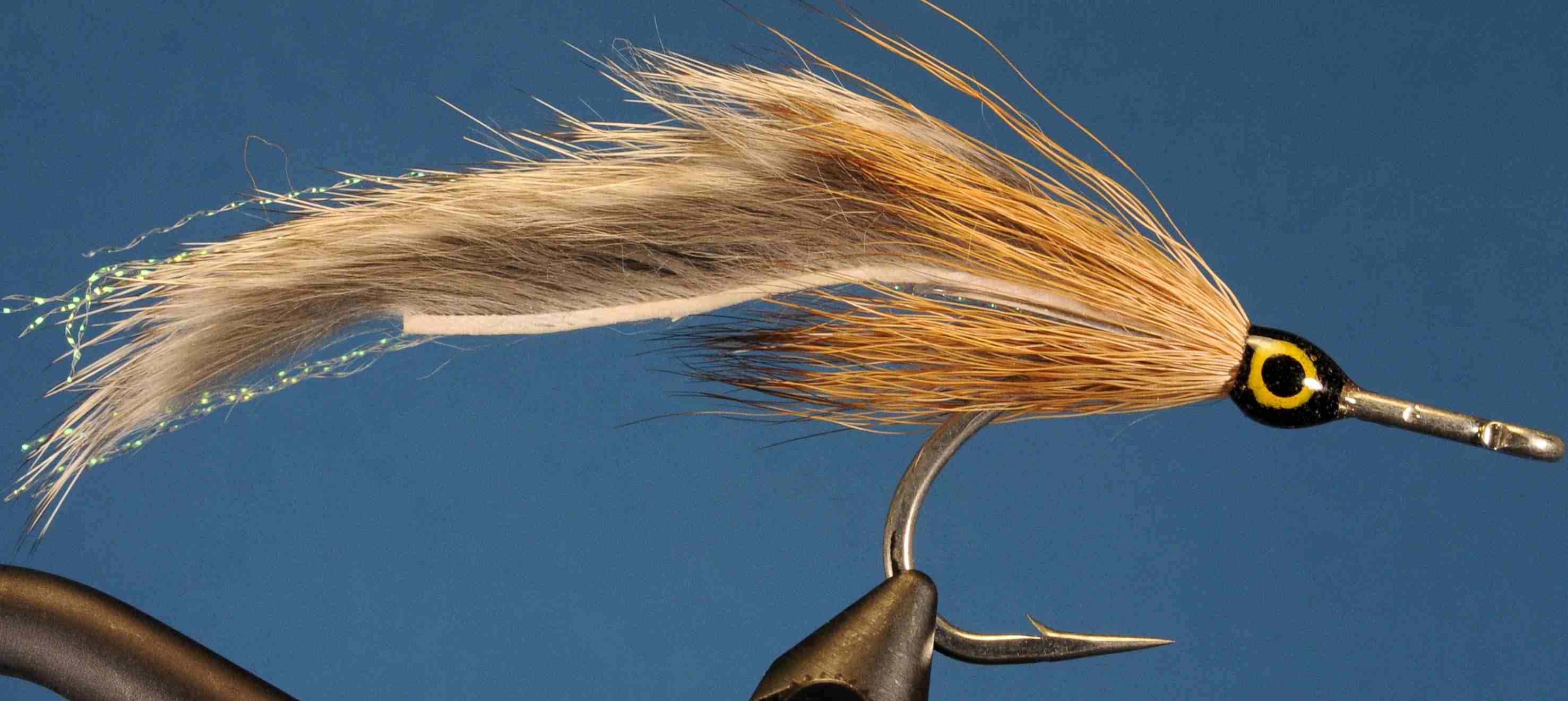 J21-568571 product image