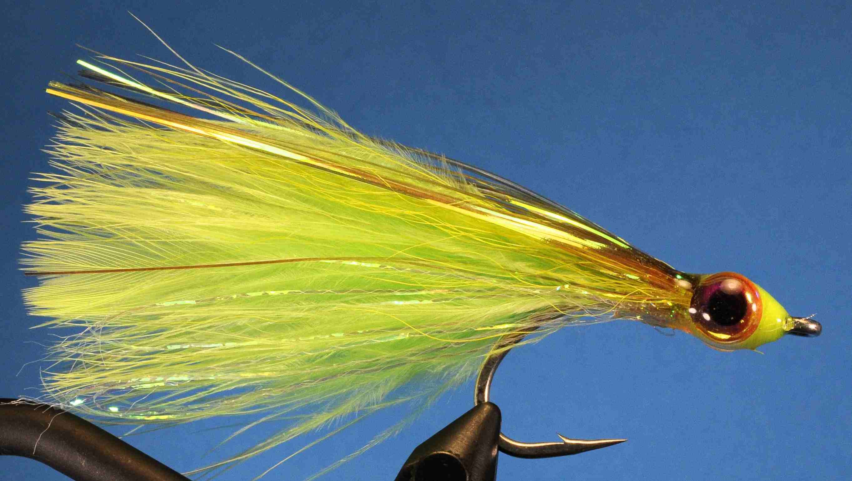 J21-570610 product image