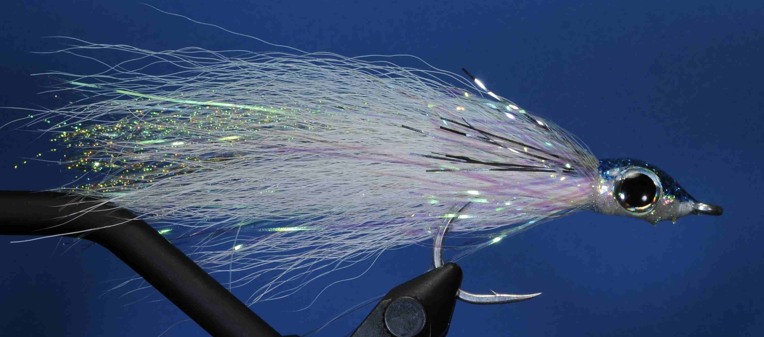 J21-570800 product image