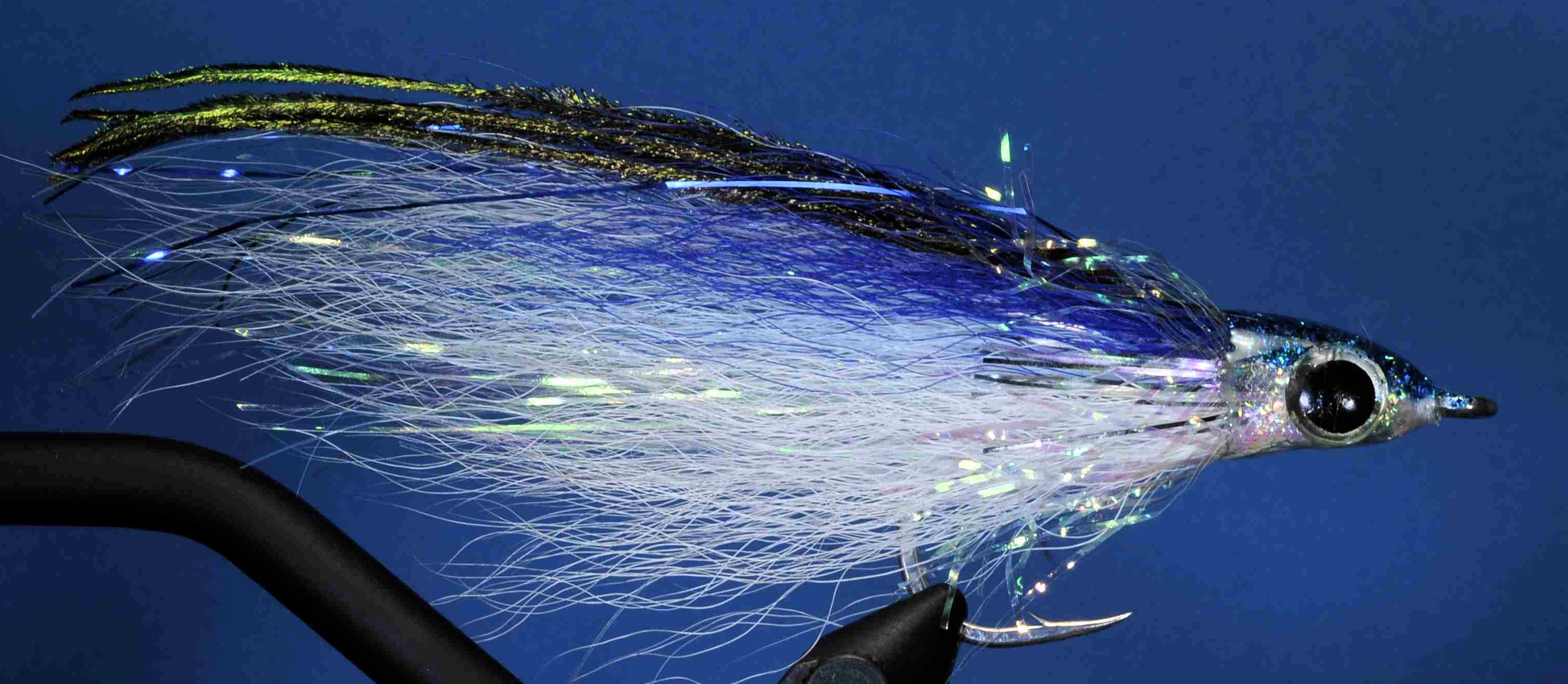 J21-570850 product image