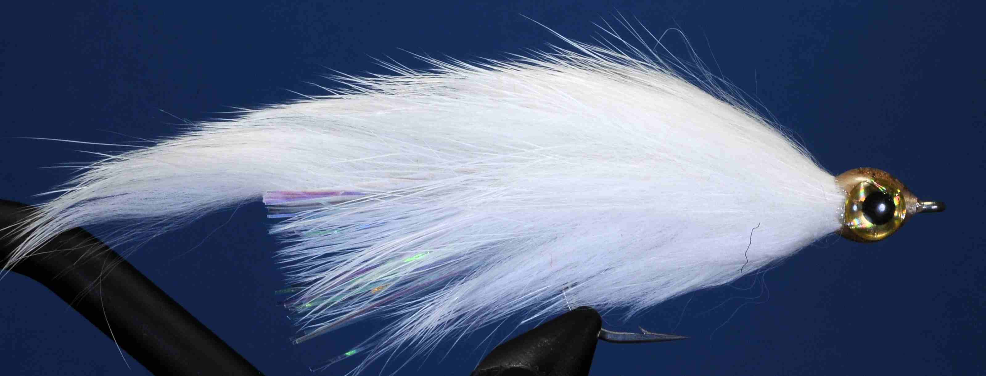 J21-755010 product image