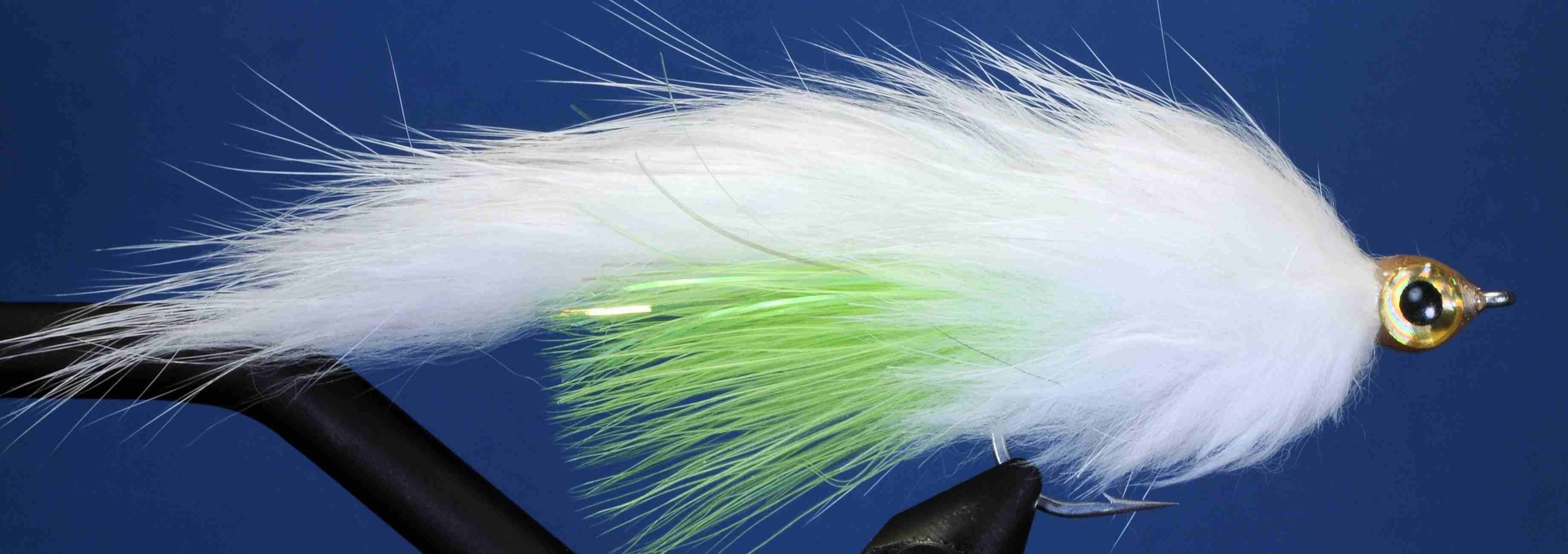 J21-755011 product image