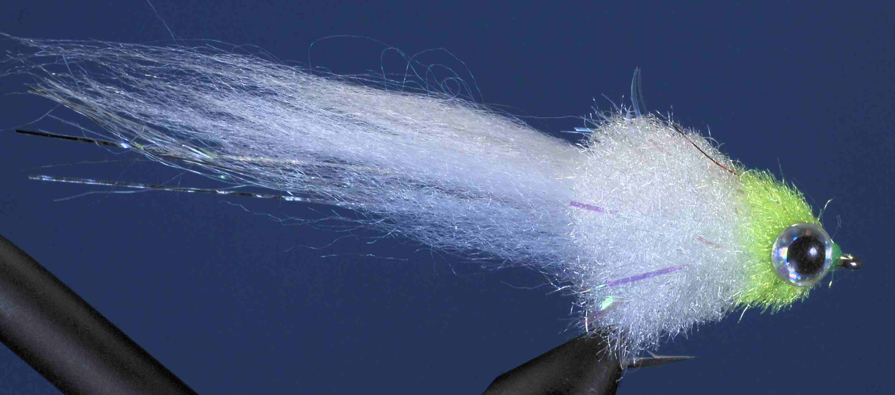 J21-756011 product image