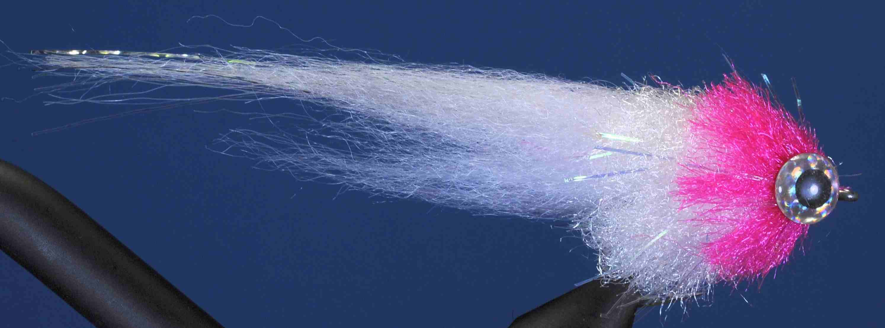 J21-756013 product image